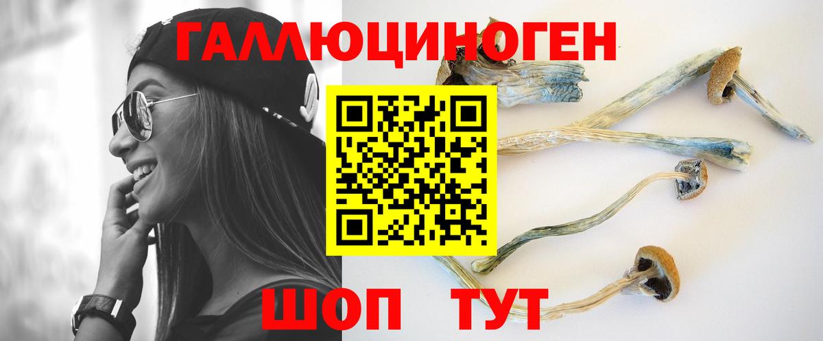 даркнет сайт  Псилоцибиновые грибы MAGIC MUSHROOMS  Вход с VPN  Ижевск 
