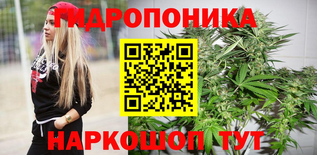 Бошки марихуана план  Вход с VPN  Каннабис OG Kush  Ижевск 